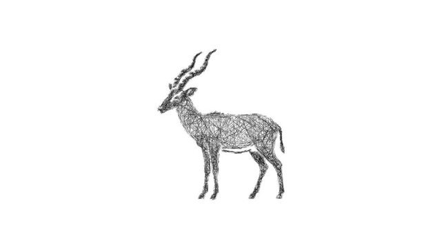 Sketch hartebeest icon animation - smooth progressive reveal