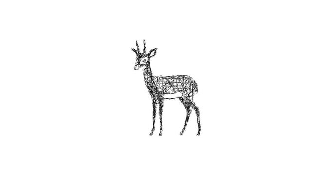 Sketch dik dik icon animation - smooth progressive reveal