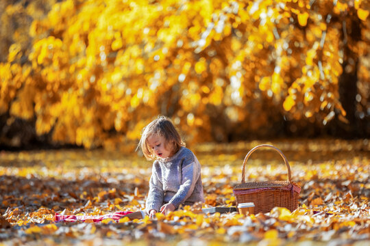 Little boy sitting alone on ground in autumn park