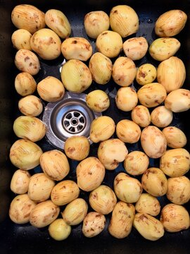 Gesch&auml;lte neue Kartoffeln im Sp&uuml;lbecken.