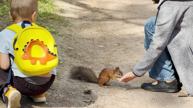 A young boy and woman feed a cute squirrel on a park path. They feel happy, amazed, and excited during this delightful wildlife encounter in nature.