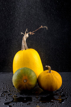 Three ripe pumpkins of different varieties under drops of water
