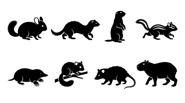 Small Mammal Silhouette Collection