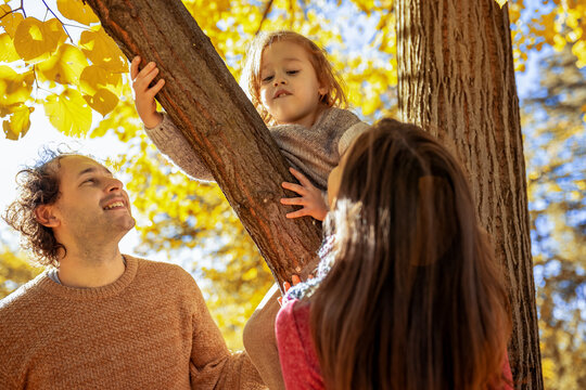 Family talking while little boy sits on tree branch