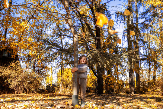 Beautiful scenic view of golden autumn trees in park