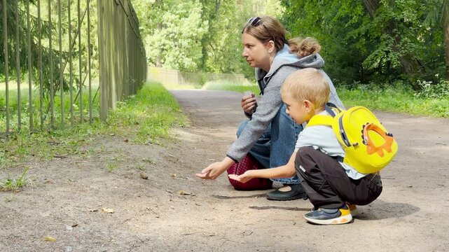 A mother and son feed a cute squirrel along a dirt path in a green park. They feel excited, happy, and curious during this joyful and heartwarming wildlife encounter.