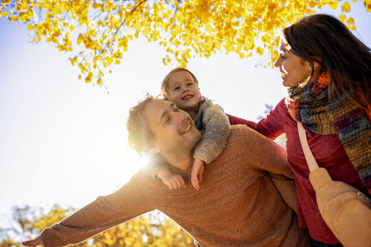 Sunlit family portrait under golden autumn canopy