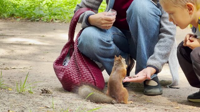 A woman and child feed a cute squirrel on a park path. They feel happy, amazed, and excited during this delightful wildlife encounter in nature.