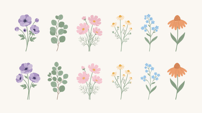 Cute pastel botanical set with wild flowers eucalyptus leaves and floral branches vector elements