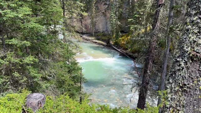 Johnston Creek river in Johnston Canyon in the Banff National Park. British Columbia, Canada. A tranquil river flows through a dense forest with vibrant greenery and rocky banks