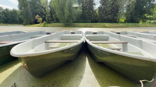 Small rowboats wait moored along a green algae-covered pond in a park. They create a peaceful and calm atmosphere. This serene scene makes visitors feel relaxed and tranquil.