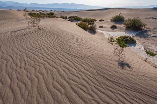 Beautiful wide view of Mesquite Flat Sand Dunes with wind ripples in Death Valley