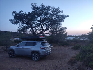 Overlanding 4x4 Vehicle with Rooftop Tent Parked in Coastal Forest © studio XL