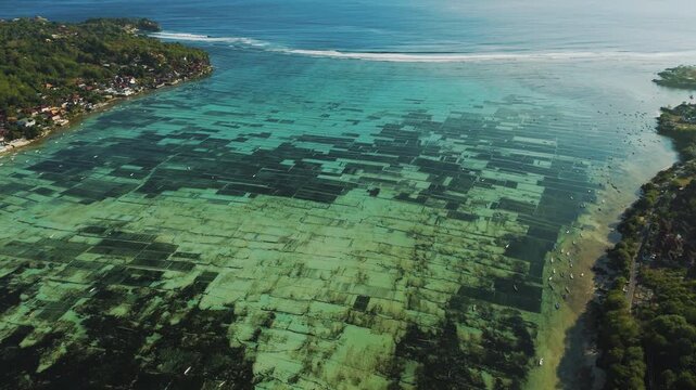 Cinematic drone tracking along the seaweed farming coast connecting Nusa Lembongan and Ceningan &ndash; Breathtaking aerial shot of clear turquoise ocean water, Yellow Bridge and beach stock video 4k UHD