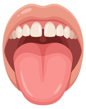Open mouth with tongue and teeth showing