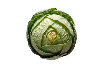 Fototapeta premium Compact green cabbage head top view isolated on transparent background