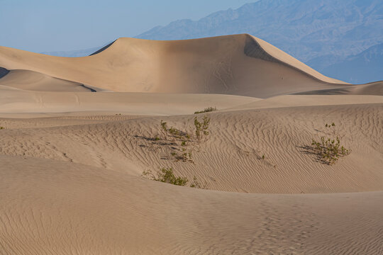 Beautiful scenic view of high sand dunes and desert mountains in Death Valley