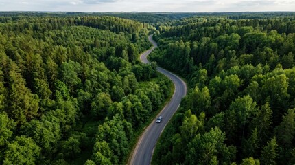 Fototapeta premium Aerial winding forest road with car, scenic asphalt highway through dense green pine trees, summer road trip travel concept