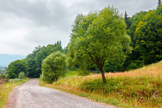 rural landscape. fence near road through field and forest to the high mountains. countryside scenery of ukraine in summer with overcast sky