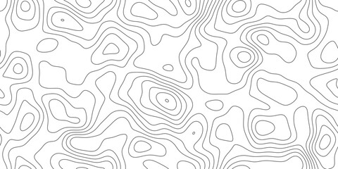 Fototapeta premium Minimal topographic line art background, abstract delicate line work mapping height and terrain, for banner, presentation and cover.