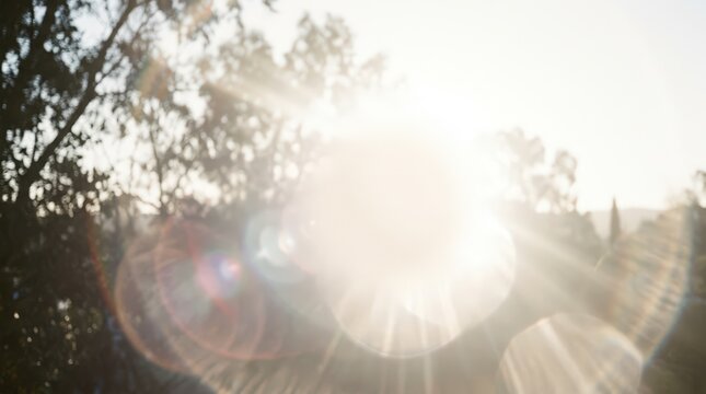 Dreamy sun flare over forest trees, bright golden hour light leaks, ethereal outdoor nature background with lens flare effects