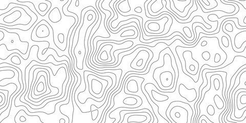 Minimal geographic contour line background with abstract elevation pattern, fine linear pattern showing land elevation and altitude, for wallpaper, poster and branding. © RASEL