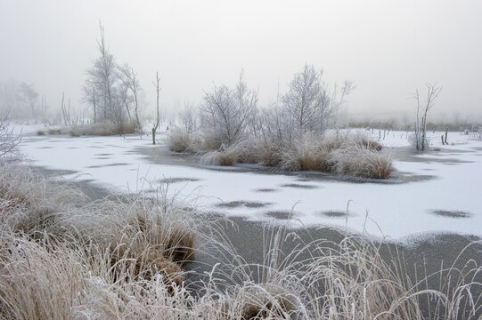 Winter with hoarfrost and snow in Goldenstedter Moor, Goldenstedt, Lower Saxony, Germany
