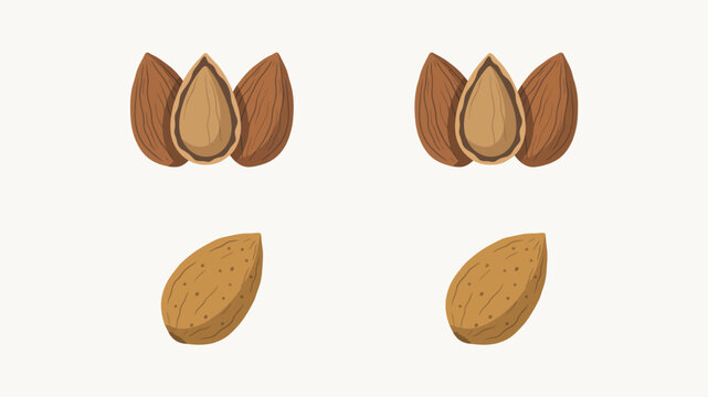 Detailed vector illustration showcases cracked almonds and whole almond nuts against a neutral background nut kernel seeds shell