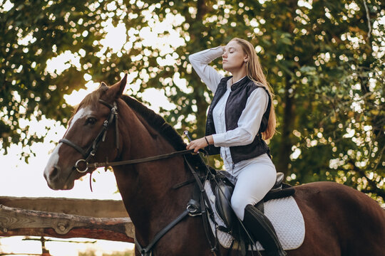 A young female jockey is sitting on her horse in show jumping training. Preparing for the competition.