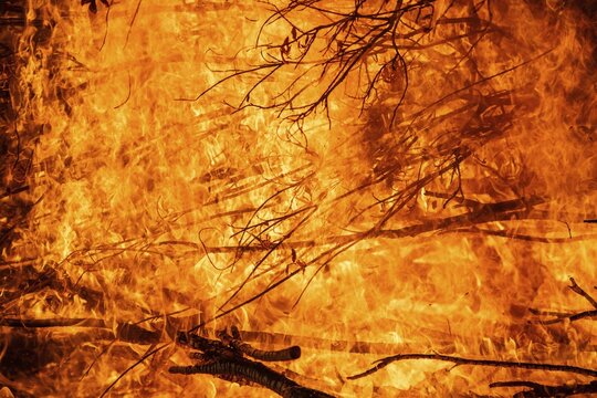Dense flames burn branches in a strong, intense fire, Finland