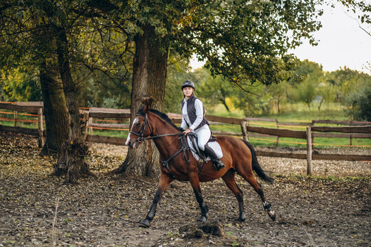 A young beautiful woman jockey is preparing for a show jumping competition. A woman rider rides a brown racehorse.