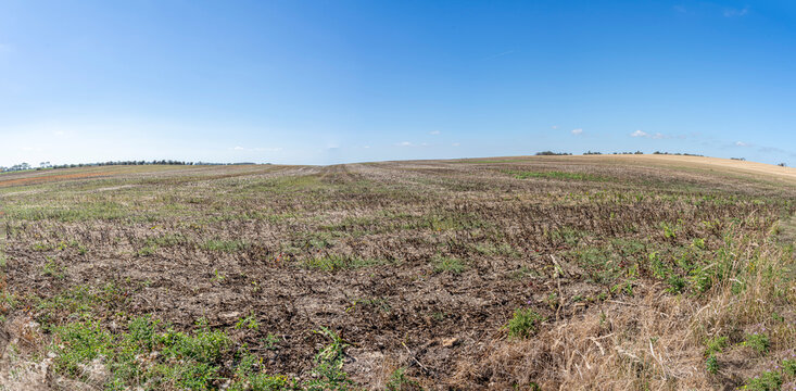 Arromanches-les-Bains, France - 08 10 2026: Coastal path. Panoramic view of the dried cultivated fields on top of the cliffs during the heatwave