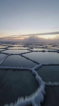 Vertical video: Panning camera revealing polygon salt crust ridges and shallow pools at dawn
