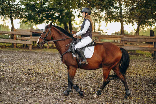A young beautiful woman jockey is preparing for a show jumping competition. A woman rider rides a brown racehorse.