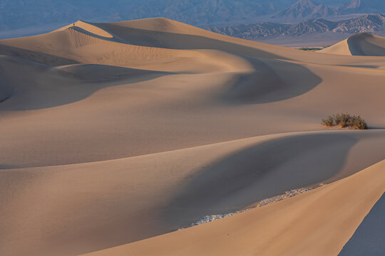 Beautiful wide view of sand dunes with a lone hiker on a ridge in Death Valley