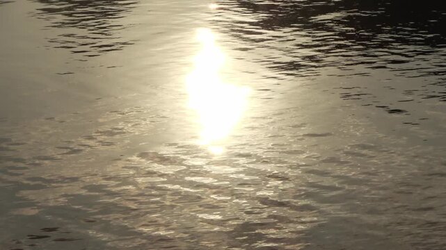 Golden sun reflecting on a rippling water surface