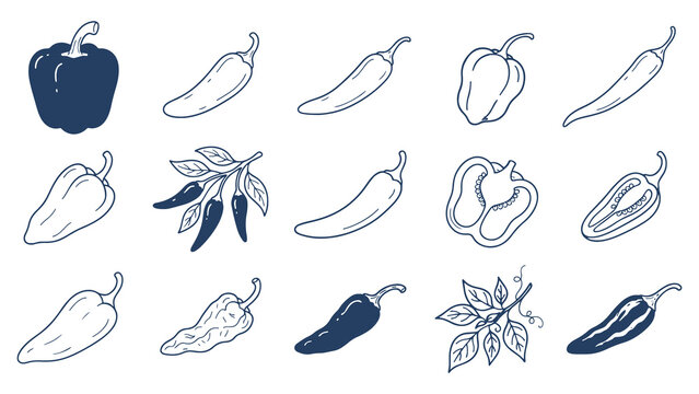 Hand drawn chili and bell pepper line art vector icon set