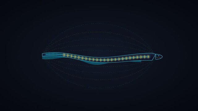 Bioluminescent deep sea fish glowing in dark water