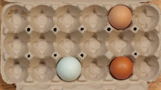 Colorful Farm Fresh Eggs Fill Carton in Stop Motion