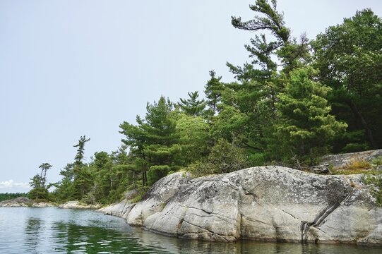 Scenic Georgian Bay Ontario Granite shoreline and Windswept Pine trees