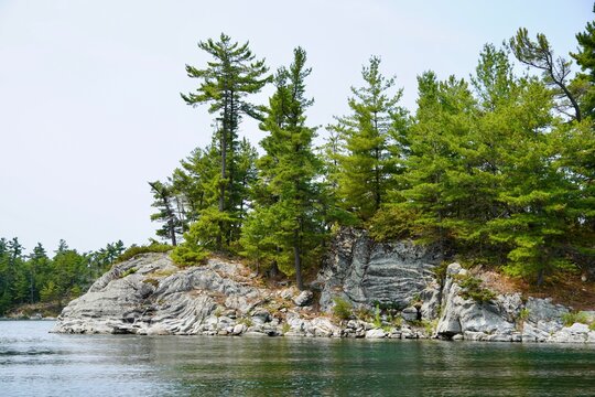 Scenic Georgian Bay Ontario Granite shoreline and Windswept Pine trees