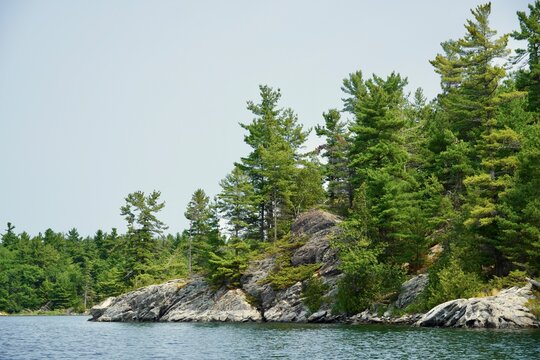 Scenic Georgian Bay Ontario Granite shoreline and Windswept Pine trees