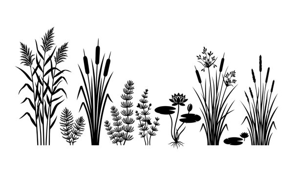 Black silhouette set of marsh plants and water lilies