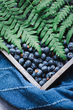 Fresh blueberry snack with fern leaf and denim fabric
