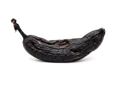 A single overripe black banana isolated on a white background.