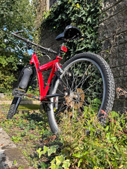 Fototapeta premium Red Mountain Bicycle Parked Beside Stone Wall Covered in Ivy Vines