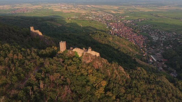 Stunning aerial footage revealing the medieval Saint Ulrich and Girsberg castles on a hilltop overlooking the town of Ribeauville at sunrise