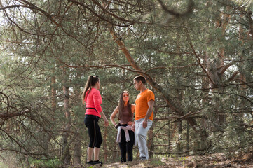Fototapeta premium Three young tourists stop to talk and rest during a hiking trip in a pine forest, enjoying outdoor recreation and time together in nature.
