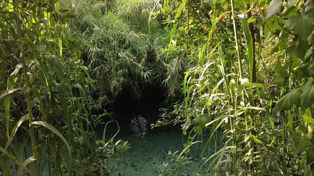 High-angle view of the crystal-clear Nera River near Mole di Narni, Umbria, Italy. Scenic top-down perspective of emerald freshwater flowing through lush green forest