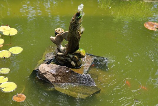 Pond fountain gurgles water upward